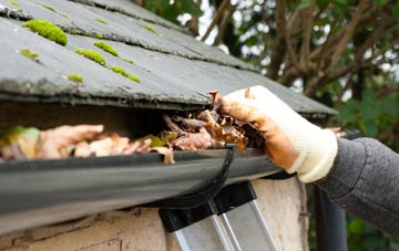 gutter cleaning Ely