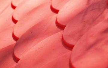 Ely plastic roof costs