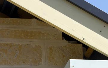soffit repair Ely
